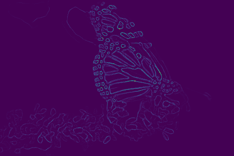 detecting intensity changes in butterfly